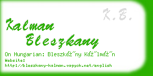 kalman bleszkany business card